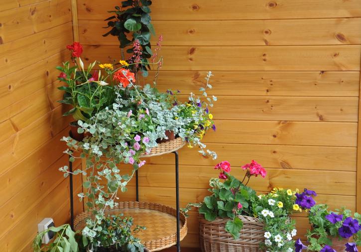 Koliba Nad Bialka Czarna Gora Bed & Breakfast Bagian luar foto